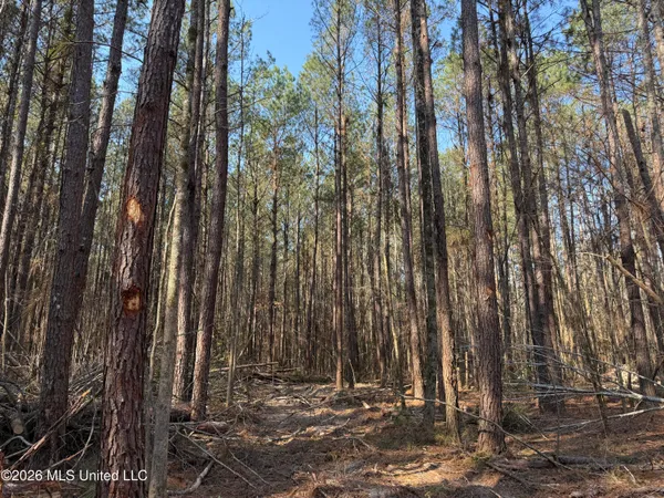 $220,000 | Railroad Lane, Pinola, MS 39149