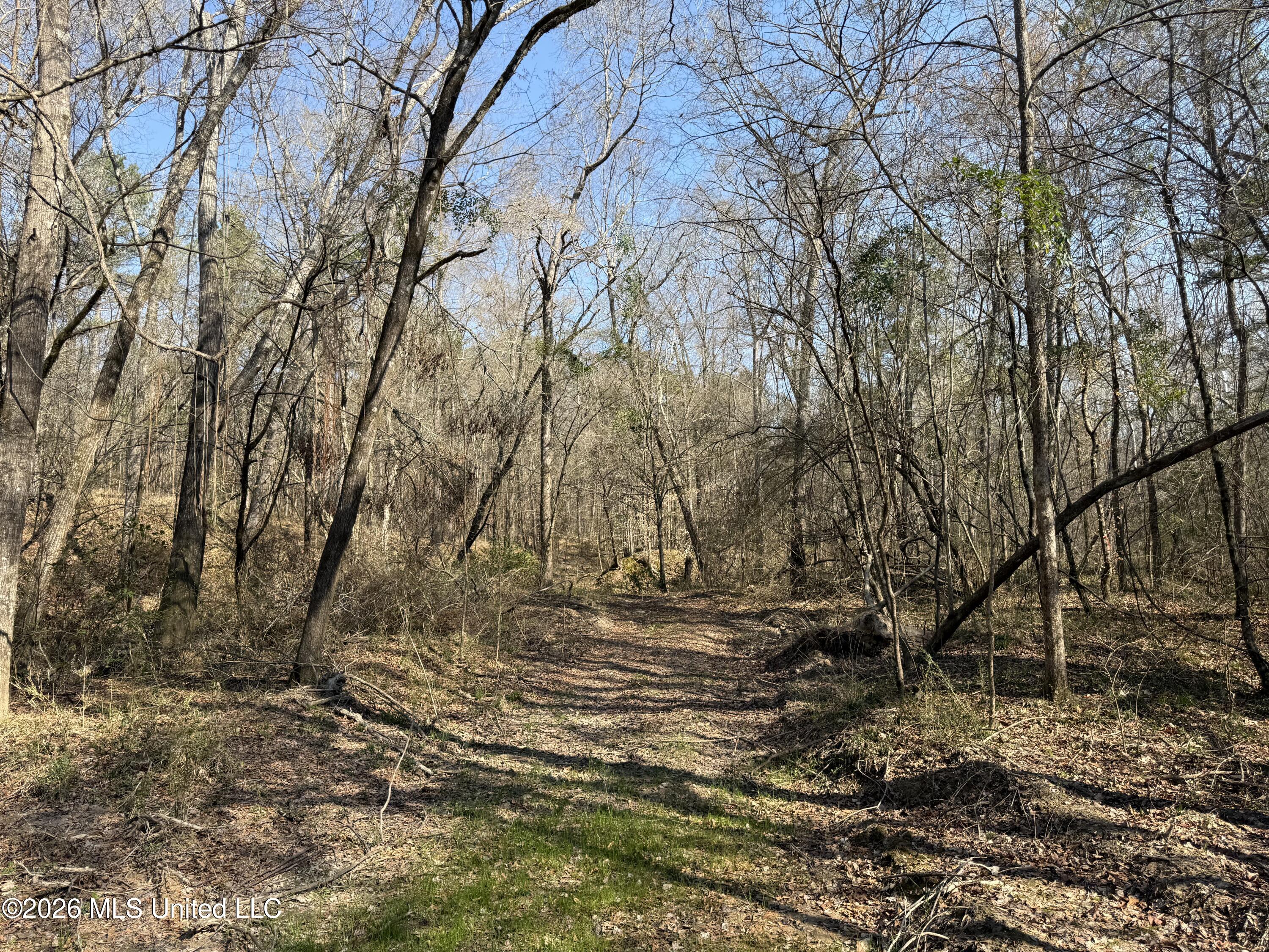 Railroad Lane Pinola, MS 39149 - Photo 9 of 40 IMG_0081