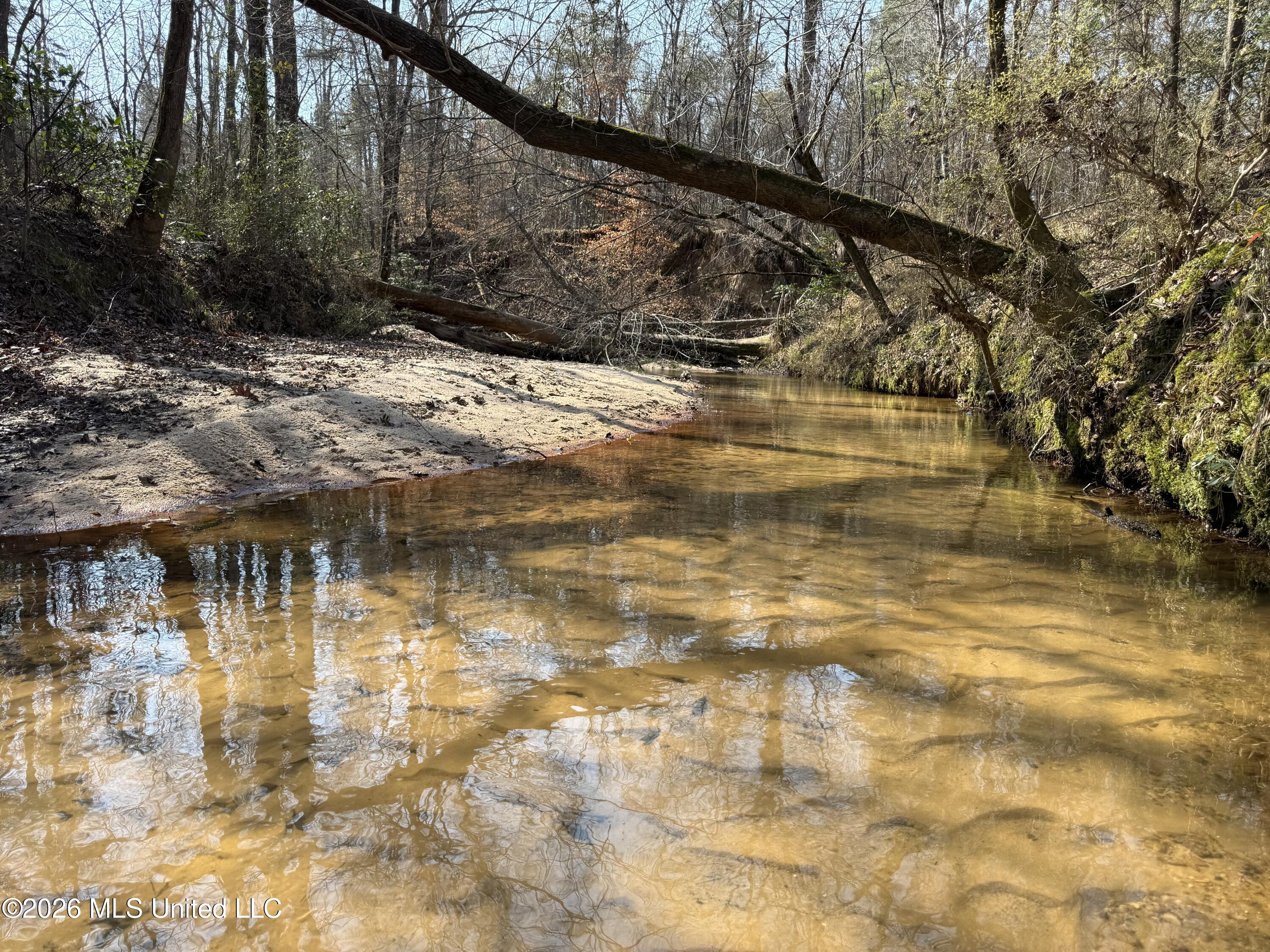 Railroad Lane Pinola, MS 39149 - Photo 10 of 40 IMG_0063