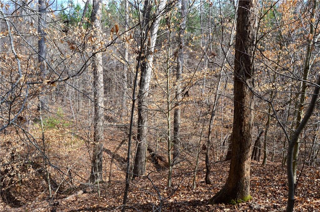 885-1003 Smothers Road Madison, NC 27025 - Photo 1 of 22 Gallery Image 1