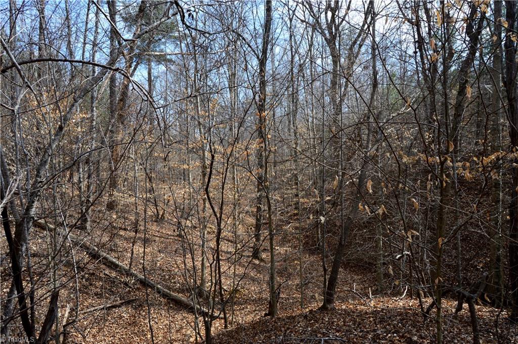 885-1003 Smothers Road Madison, NC 27025 - Photo 2 of 22 Gallery Image 2