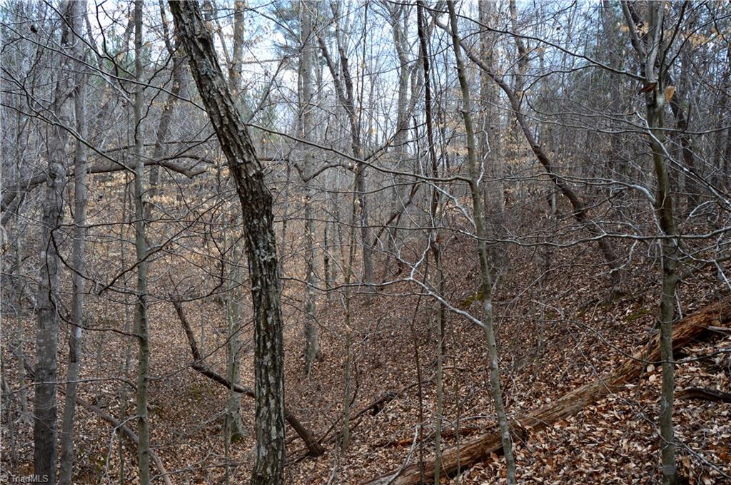 885-1003 Smothers Road Madison, NC 27025 - Photo 3 of 22 Gallery Image 3