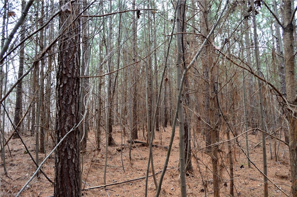 885-1003 Smothers Road Madison, NC 27025 - Photo 4 of 22 Gallery Image 4