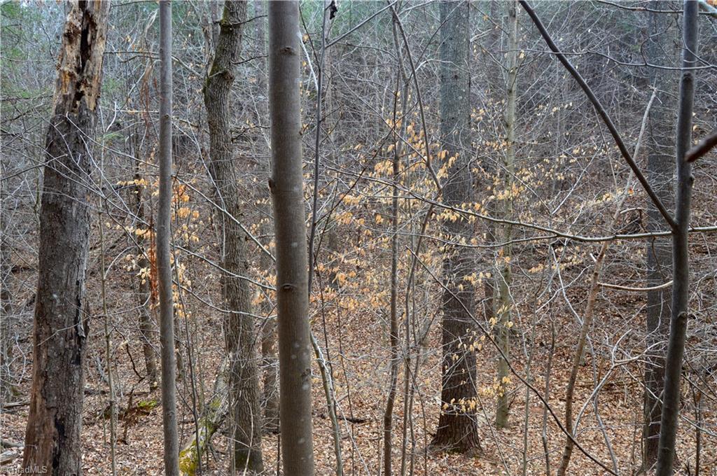 885-1003 Smothers Road Madison, NC 27025 - Photo 5 of 22 Gallery Image 5