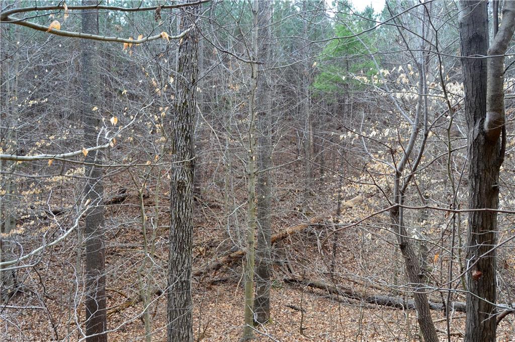 885-1003 Smothers Road Madison, NC 27025 - Photo 6 of 22 Gallery Image 6