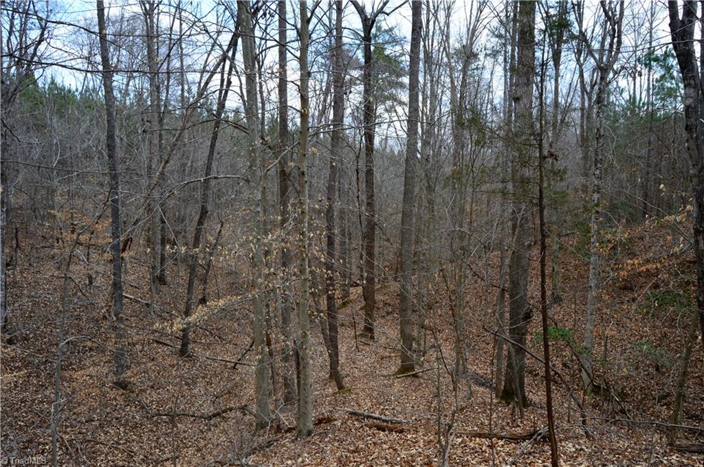 885-1003 Smothers Road Madison, NC 27025 - Photo 7 of 22 Gallery Image 7