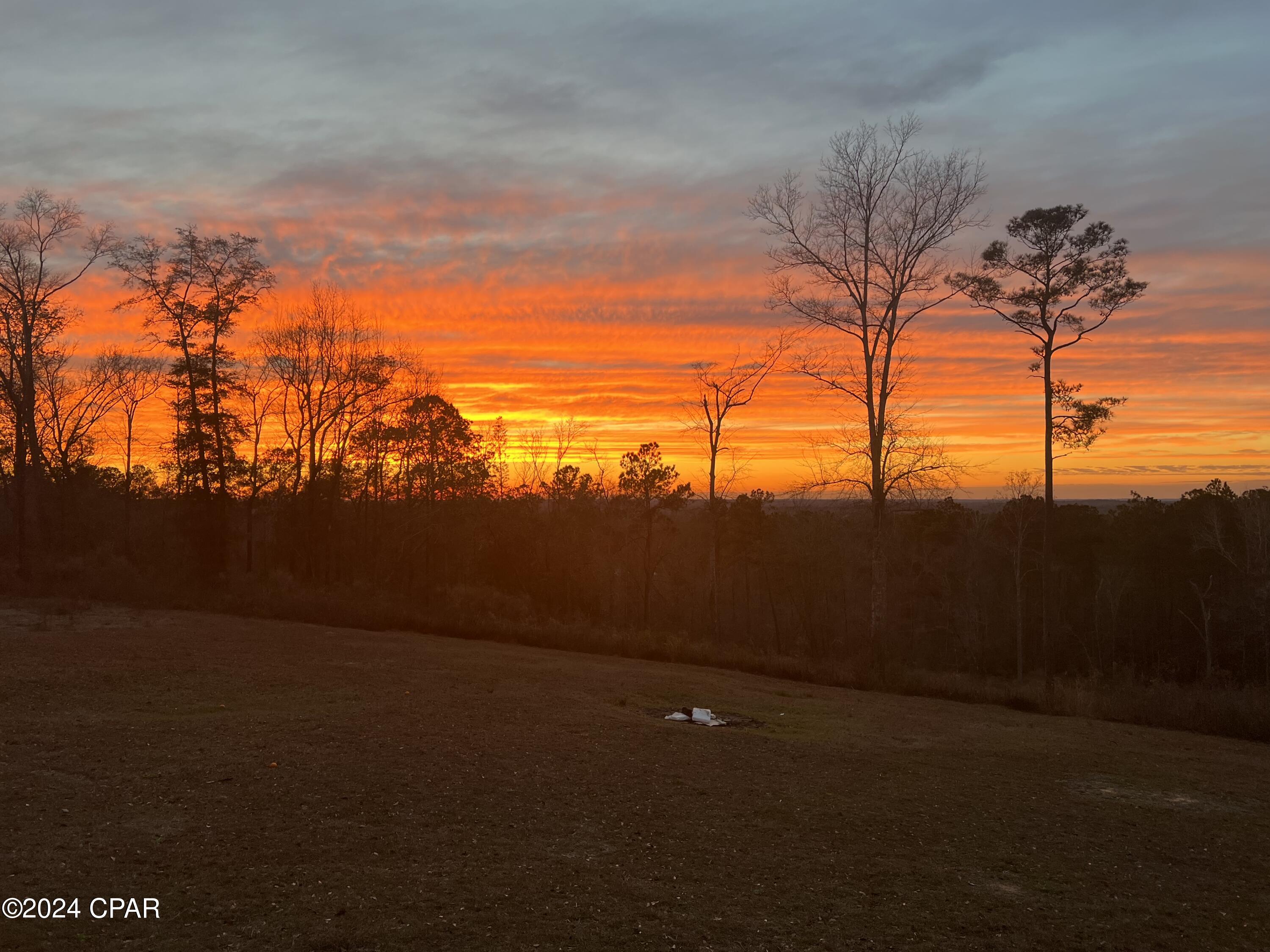 2098 Orange Hill Road Chipley, FL 32428 - Photo 53 of 57 Gallery Image 53