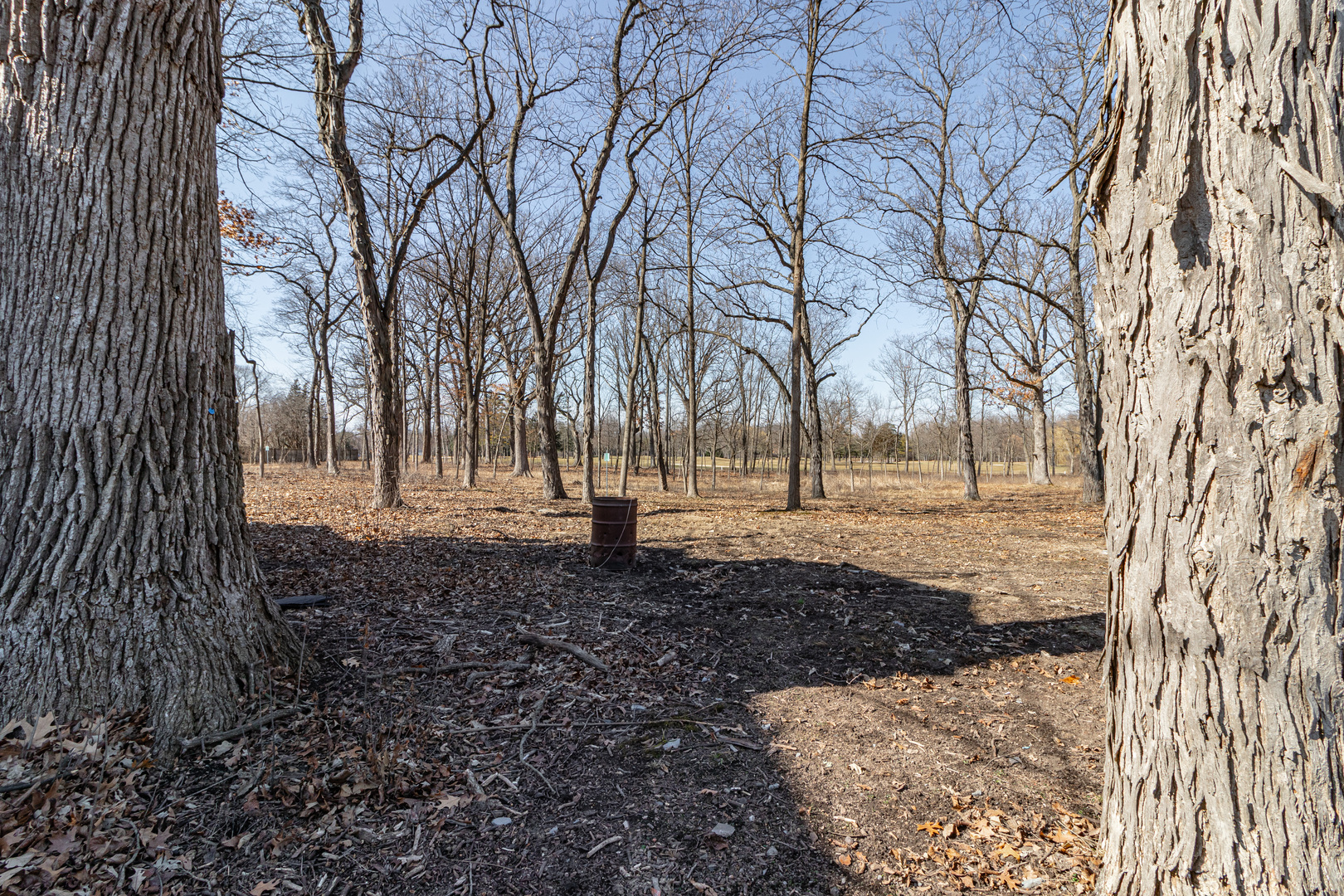 1400 Saunders Road Riverwoods, IL 60015 - Photo 8 of 18 Gallery Image 8