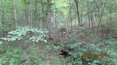 0 Lebanon Road Bagdad, KY 40003 - Photo 21 of 22 Photo 21