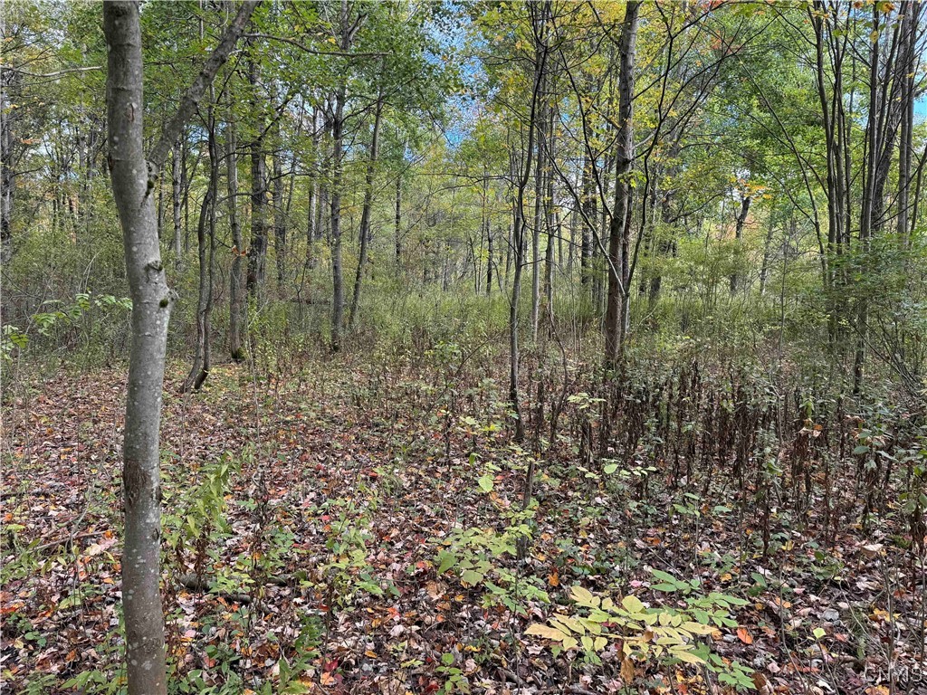 0 Herrick Road Gerry, NY 14740 - Photo 12 of 19