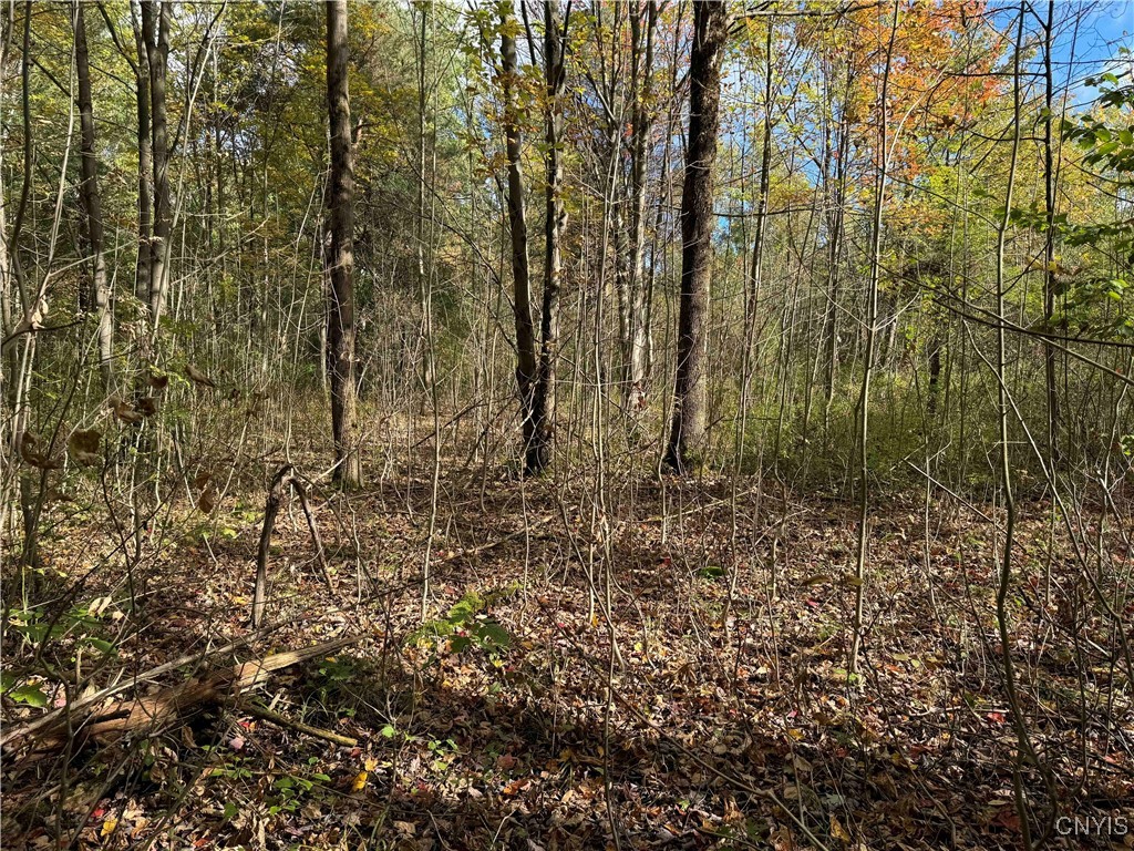 0 Herrick Road Gerry, NY 14740 - Photo 13 of 19