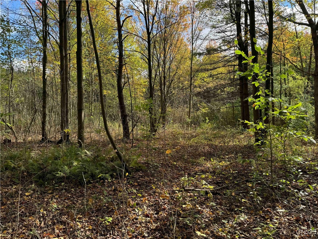 0 Herrick Road Gerry, NY 14740 - Photo 14 of 19