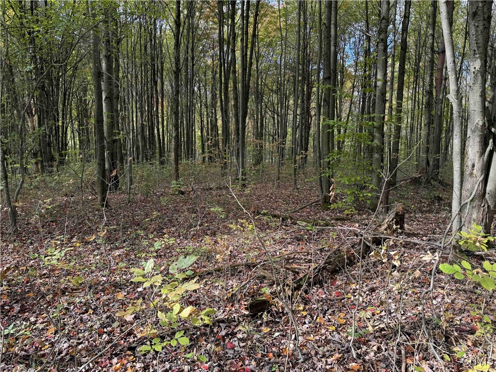 0 Herrick Road Gerry, NY 14740 - Photo 15 of 19