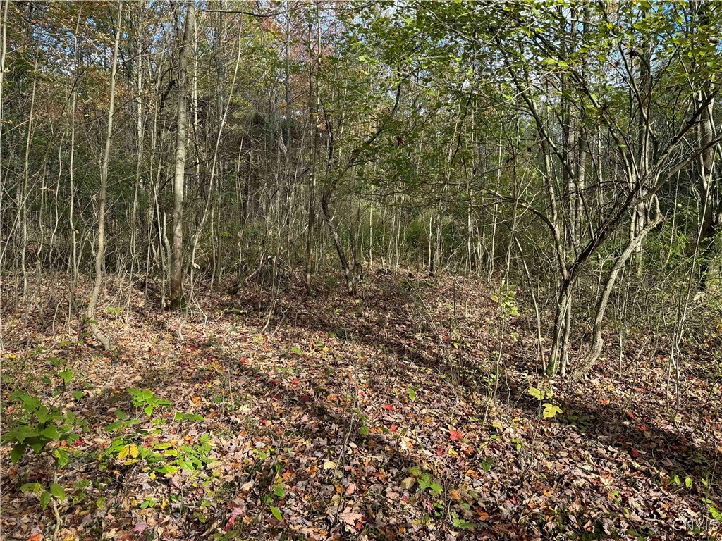 0 Herrick Road Gerry, NY 14740 - Photo 16 of 19