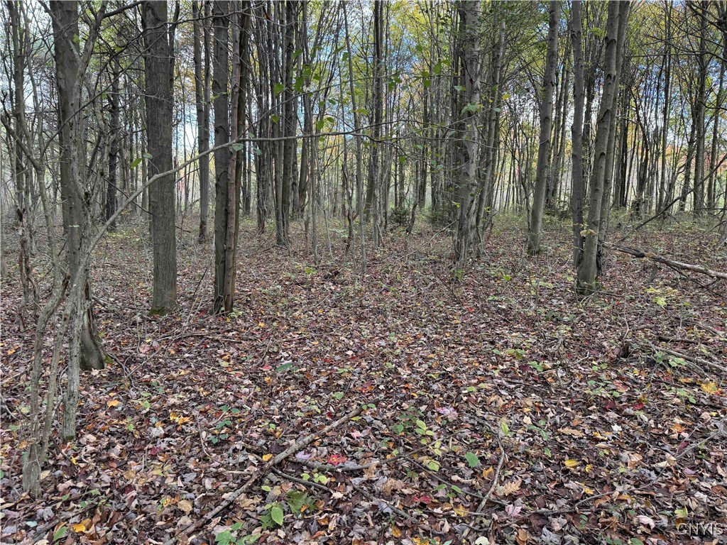 0 Herrick Road Gerry, NY 14740 - Photo 17 of 19