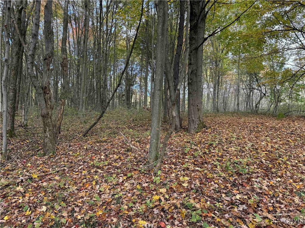 0 Herrick Road Gerry, NY 14740 - Photo 18 of 19