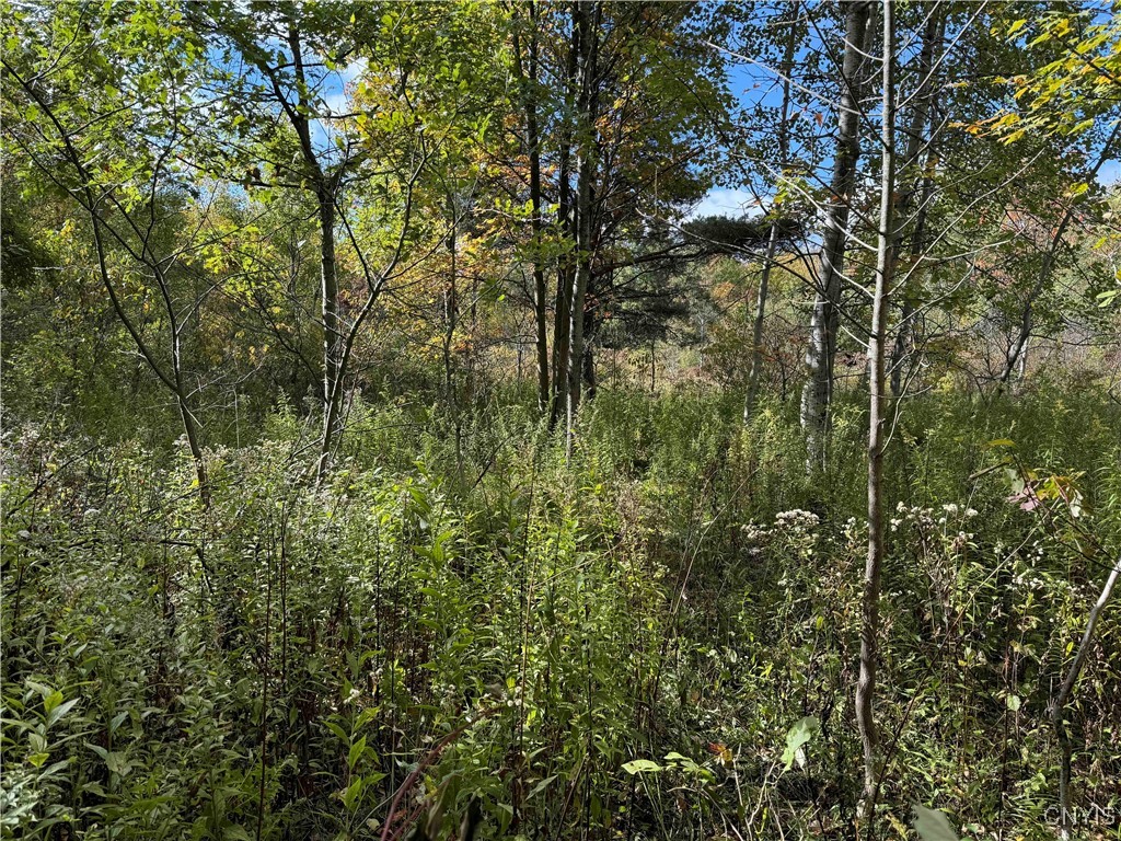 0 Herrick Road Gerry, NY 14740 - Photo 19 of 19