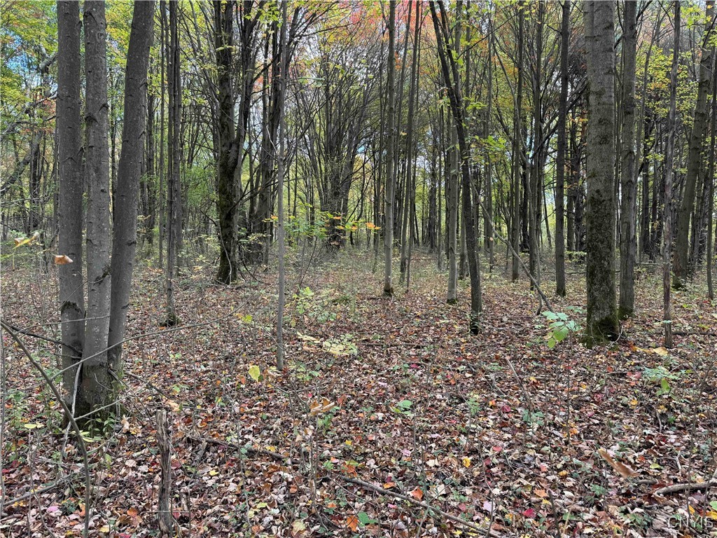 0 Herrick Road Gerry, NY 14740 - Photo 6 of 19