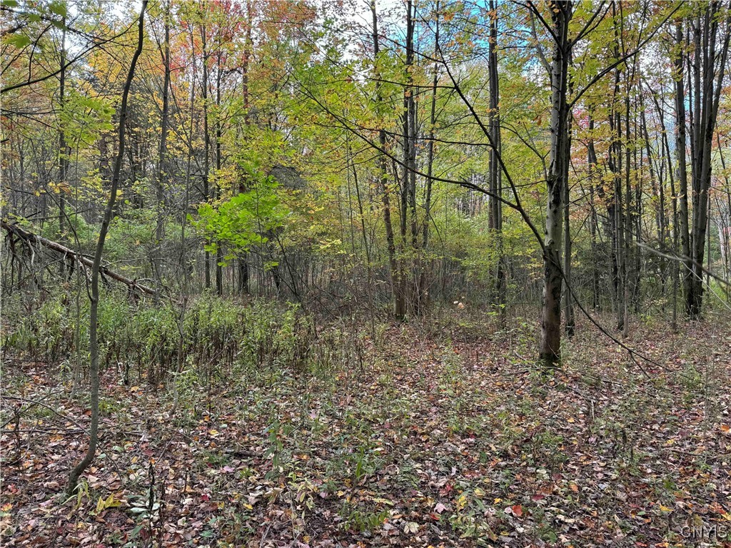 0 Herrick Road Gerry, NY 14740 - Photo 8 of 19