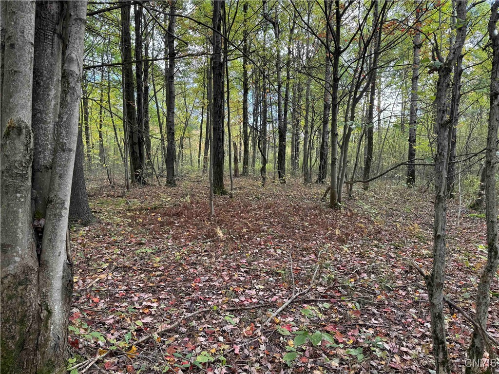 0 Herrick Road Gerry, NY 14740 - Photo 9 of 19