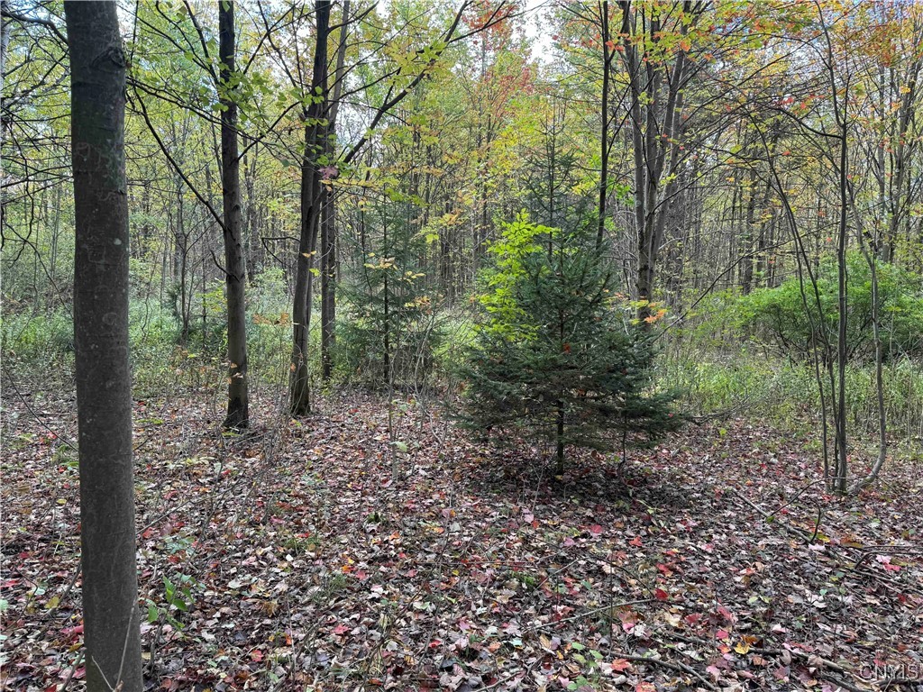 0 Herrick Road Gerry, NY 14740 - Photo 10 of 19