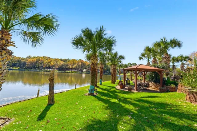 a view of a garden with a potted plants