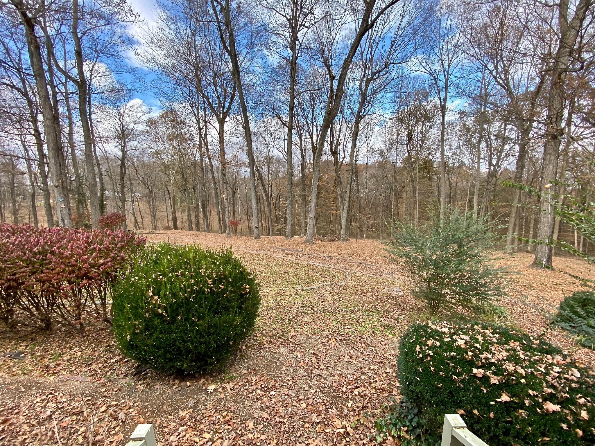 6982 New Chapel Road Springfield, TN 37172 - Photo 2 of 32 a view of a garden with a tree