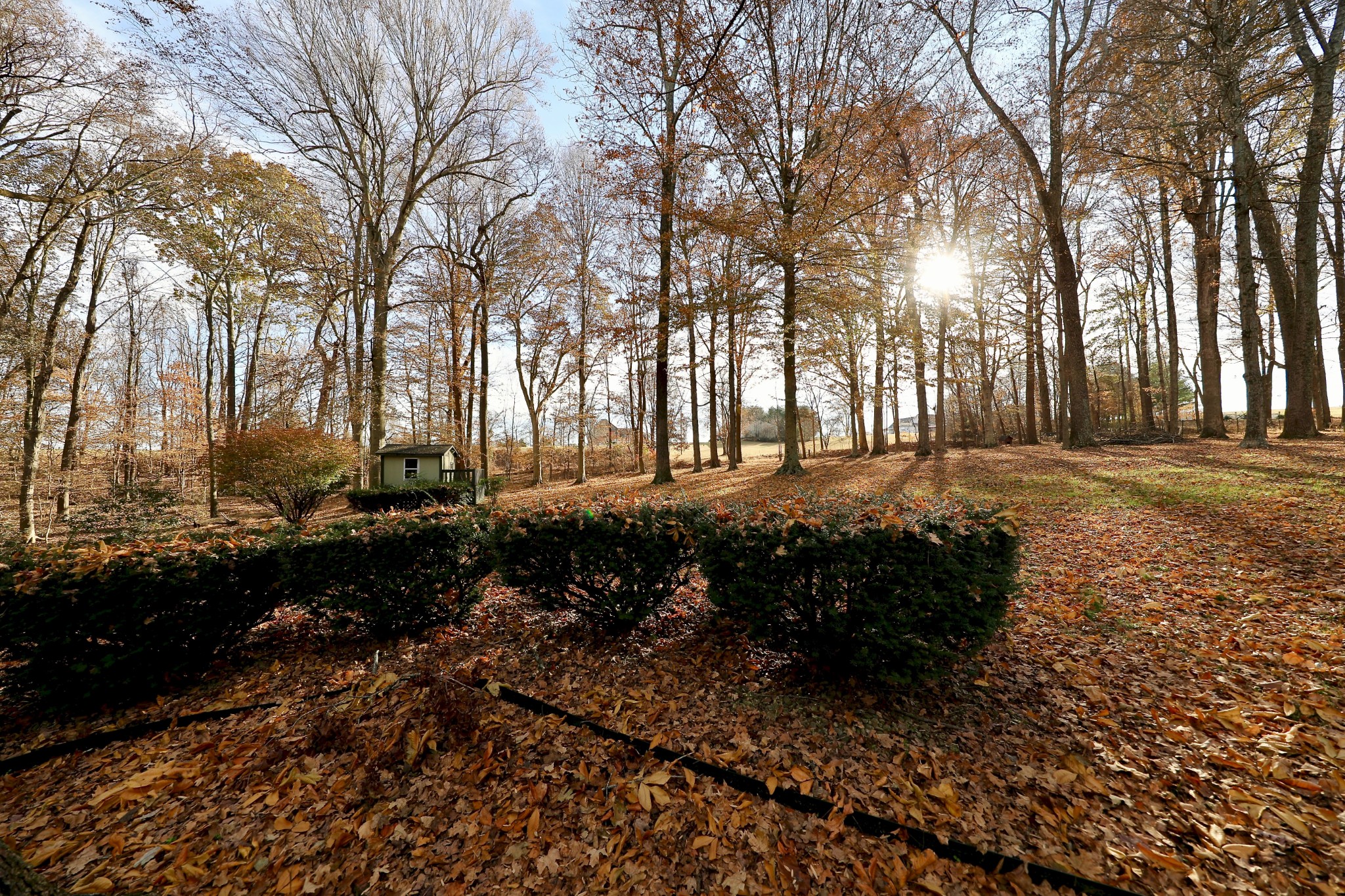 6982 New Chapel Road Springfield, TN 37172 - Photo 32 of 32 a view of a street with trees