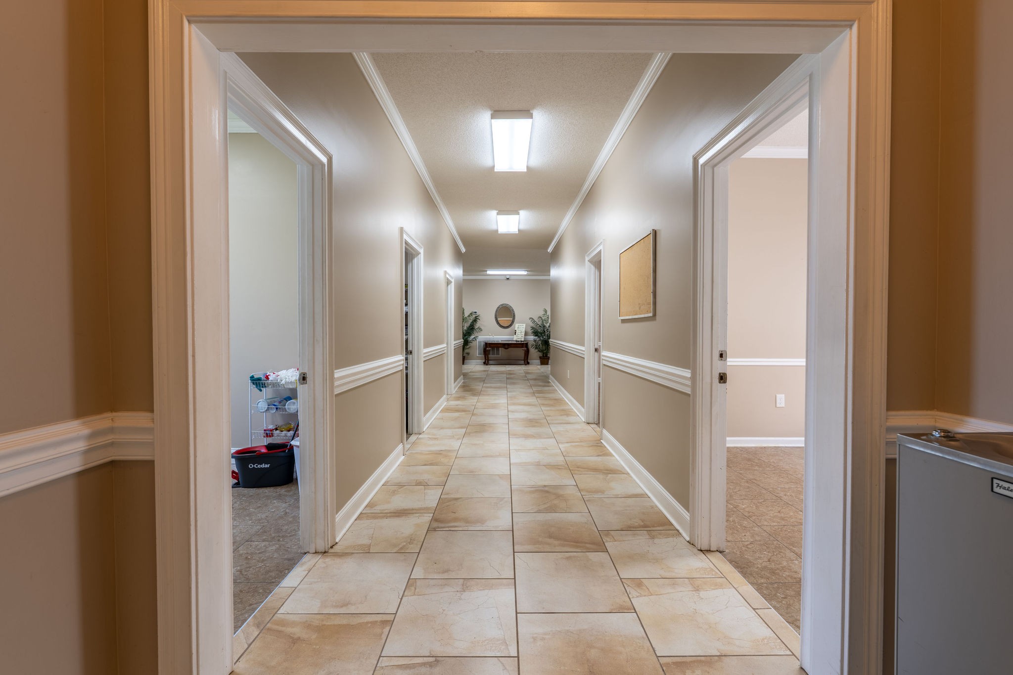 20 Idaho Road Leoma, TN 38468 - Photo 6 of 43 Gallery Image 6