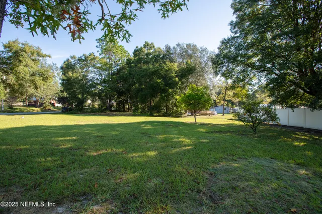 a view of a backyard with a garden and plants
