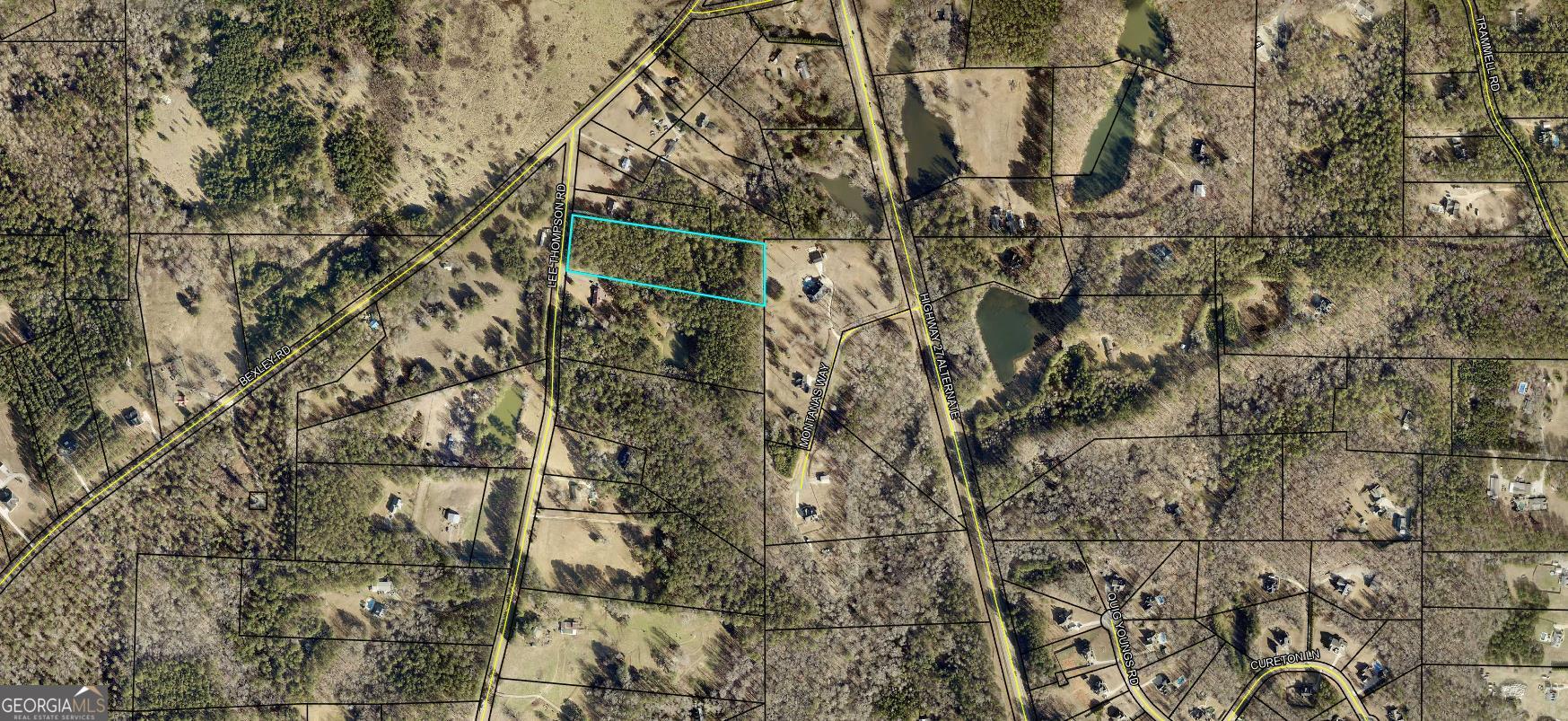 0 Lee Thompson Road Moreland, GA 30259 - Photo 3 of 3 a view of a yard with a tree