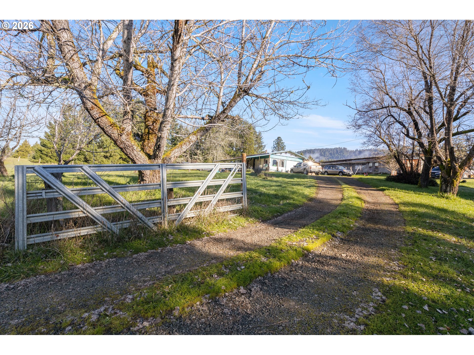 146 Crater Road Camas Valley, OR 97416 - Photo 2 of 38