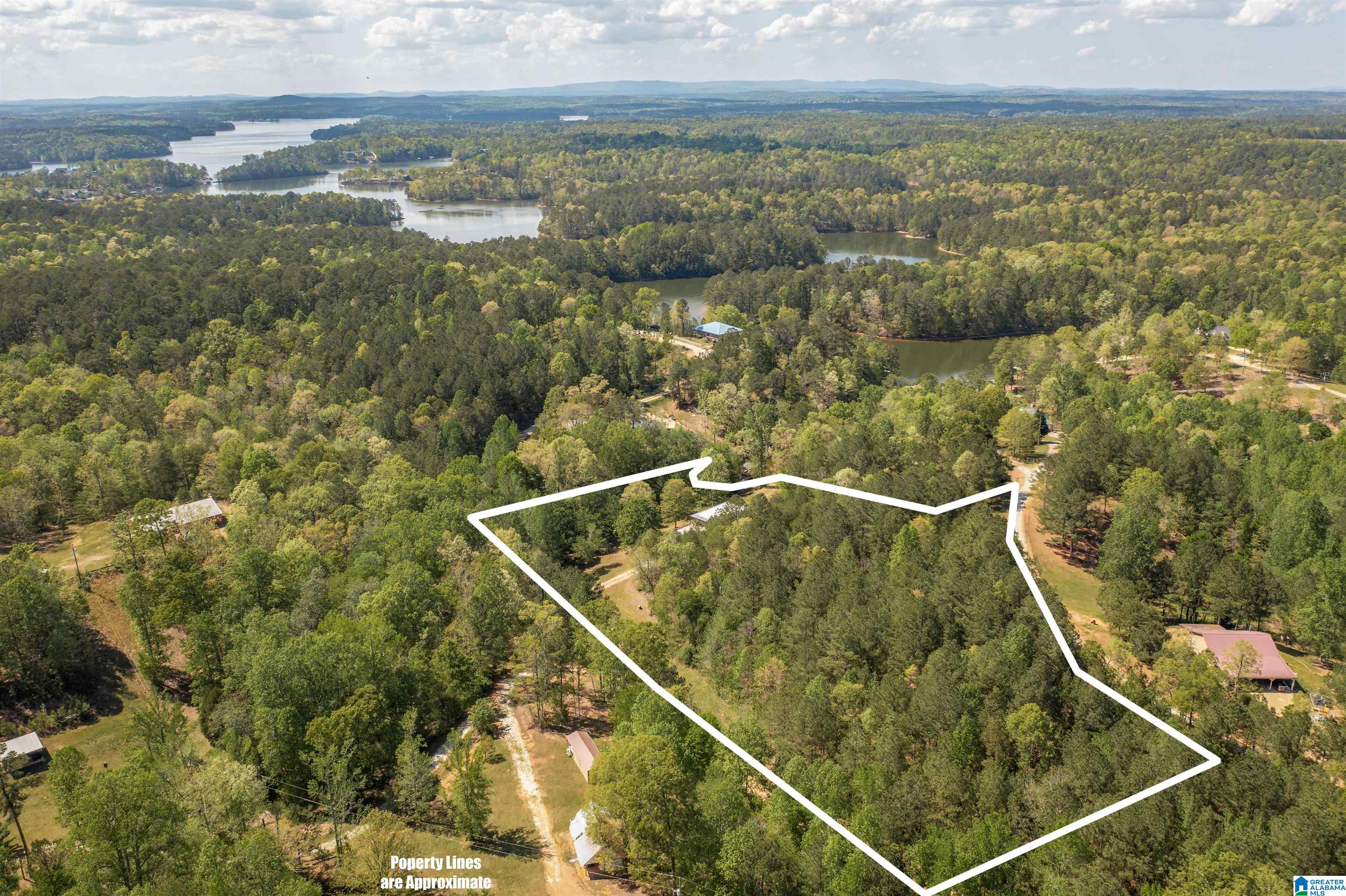 1268 Lane Branch Road Wedowee, AL 36278 - Photo 53 of 56
