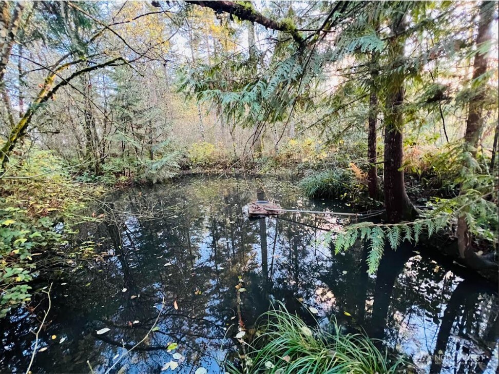 1412 Centralia Alpha Road Chehalis, WA 98532 - Photo 29 of 37 a view of a tree in a yard