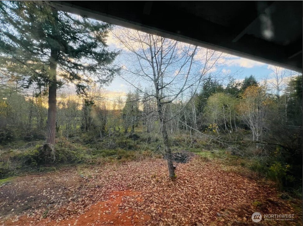 1412 Centralia Alpha Road Chehalis, WA 98532 - Photo 30 of 37 a view of a forest with trees in the background