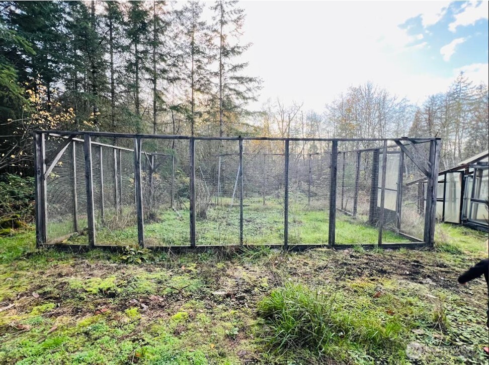 1412 Centralia Alpha Road Chehalis, WA 98532 - Photo 31 of 37 a view of garden and tall trees