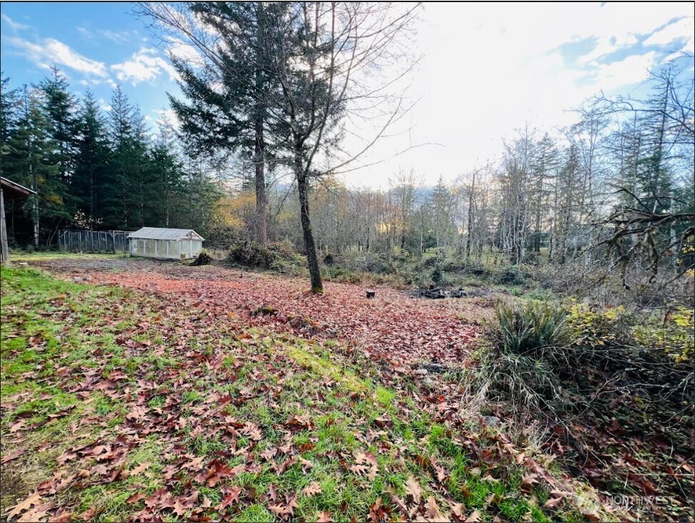 1412 Centralia Alpha Road Chehalis, WA 98532 - Photo 32 of 37 a view of a yard with tiny trees
