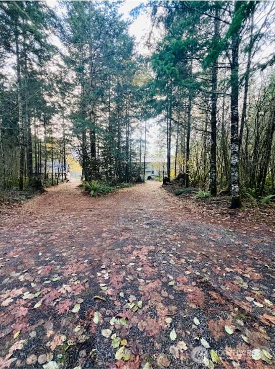 1412 Centralia Alpha Road Chehalis, WA 98532 - Photo 35 of 37 a view of a field with trees in front of it