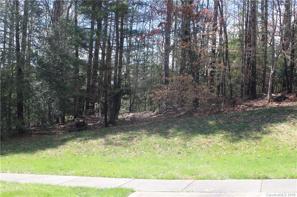 V5 R Stonehouse Road, Unit V5R Brevard, NC 28712 - Photo 1 of 13 Gallery Image 1
