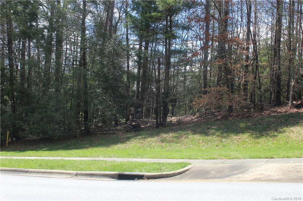 V5 R Stonehouse Road, Unit V5R Brevard, NC 28712 - Photo 3 of 13 Gallery Image 3