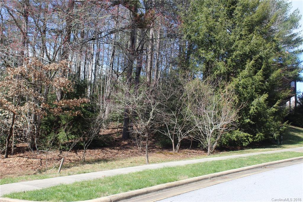 V5 R Stonehouse Road, Unit V5R Brevard, NC 28712 - Photo 4 of 13 Gallery Image 4