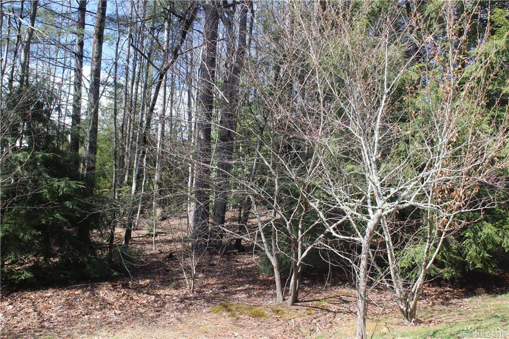 V5 R Stonehouse Road, Unit V5R Brevard, NC 28712 - Photo 5 of 13 Gallery Image 5