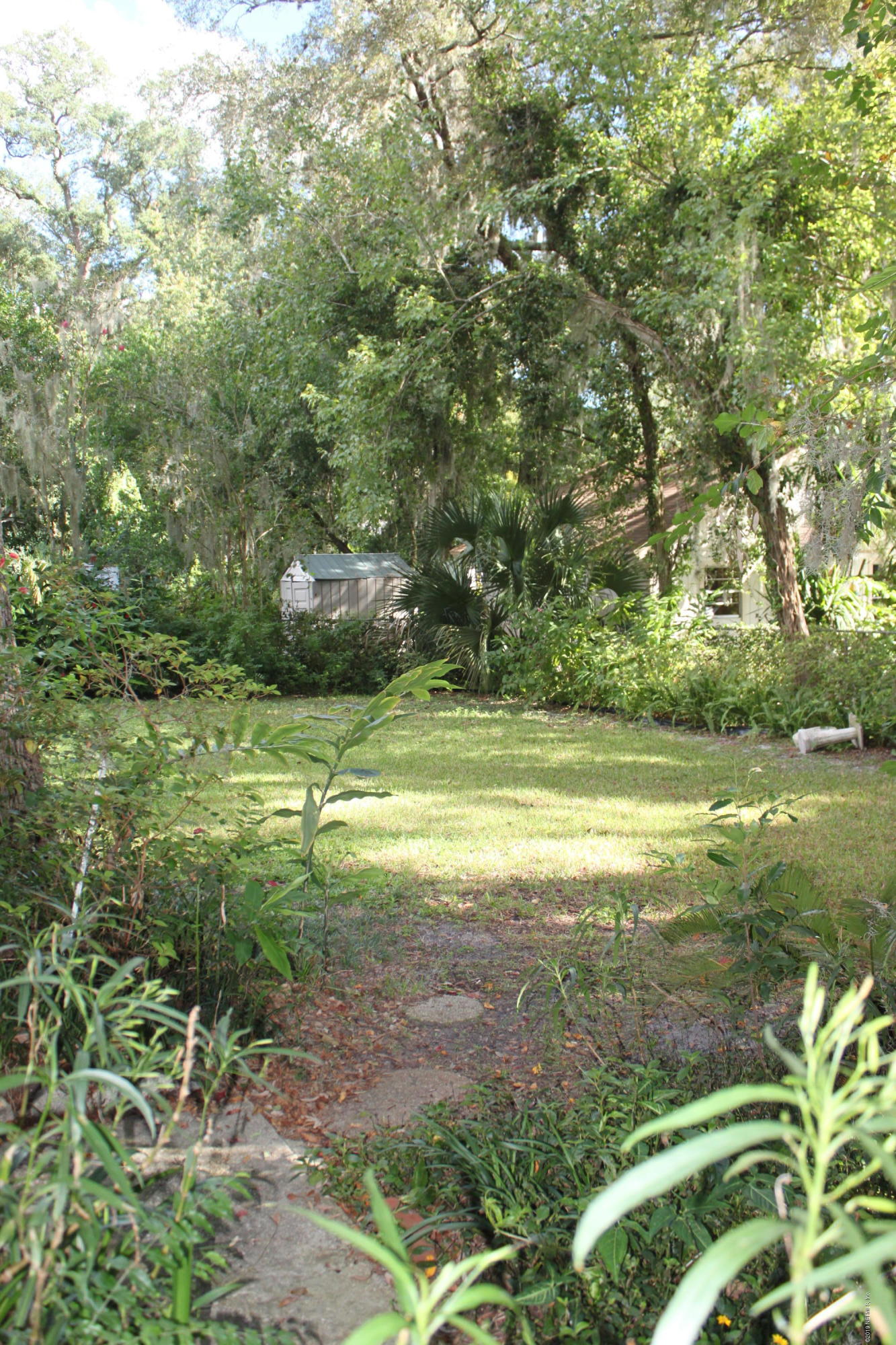 4617 Hartman Road Jacksonville, FL 32225 - Photo 10 of 12 Backyard 1
