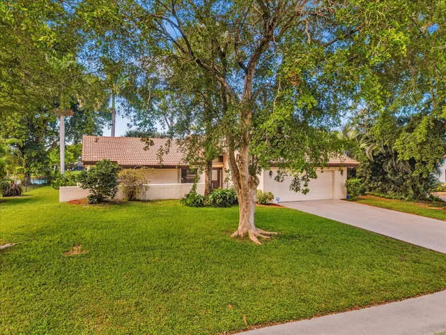 a backyard of a house with plants and large tree
