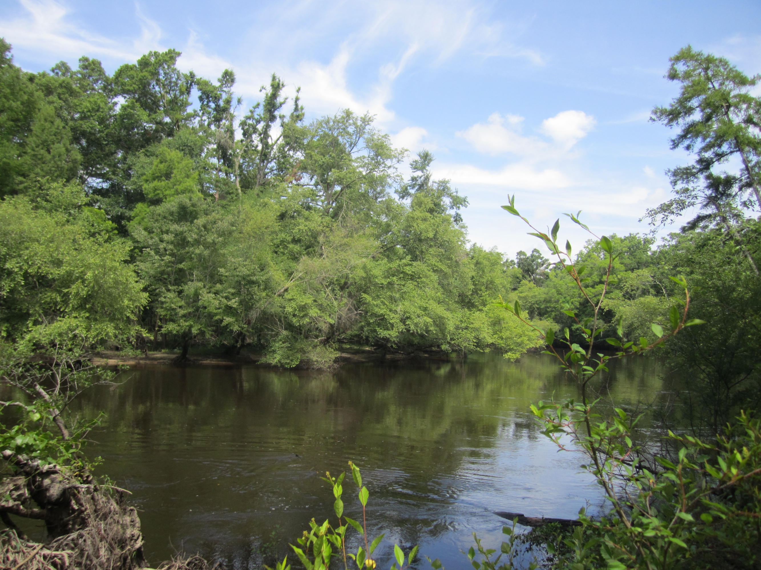 0 Edisto River Road St. George, SC 29477 - Photo 2 of 13 116