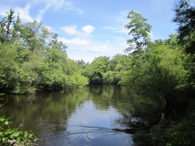 0 Edisto River Road St. George, SC 29477 - Photo 3 of 13 118edit
