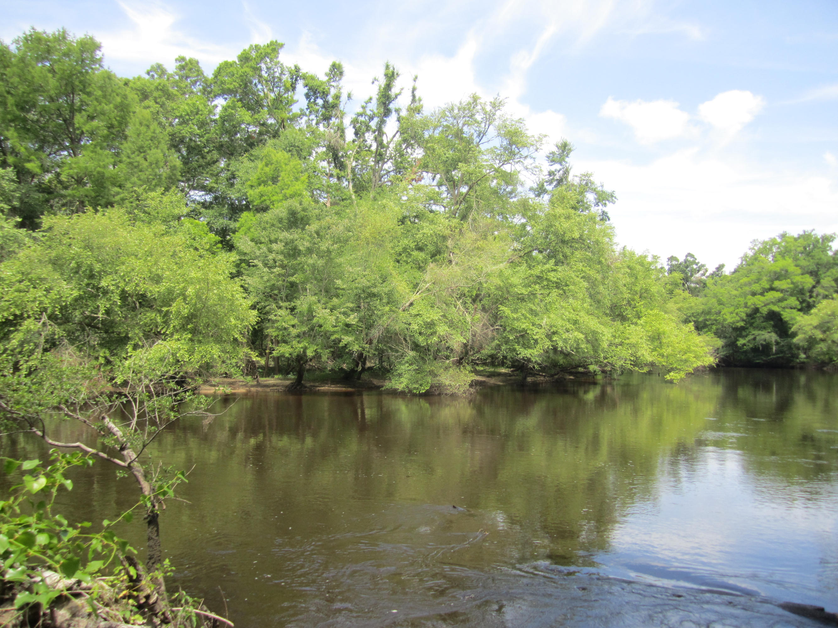 0 Edisto River Road St. George, SC 29477 - Photo 4 of 13 120