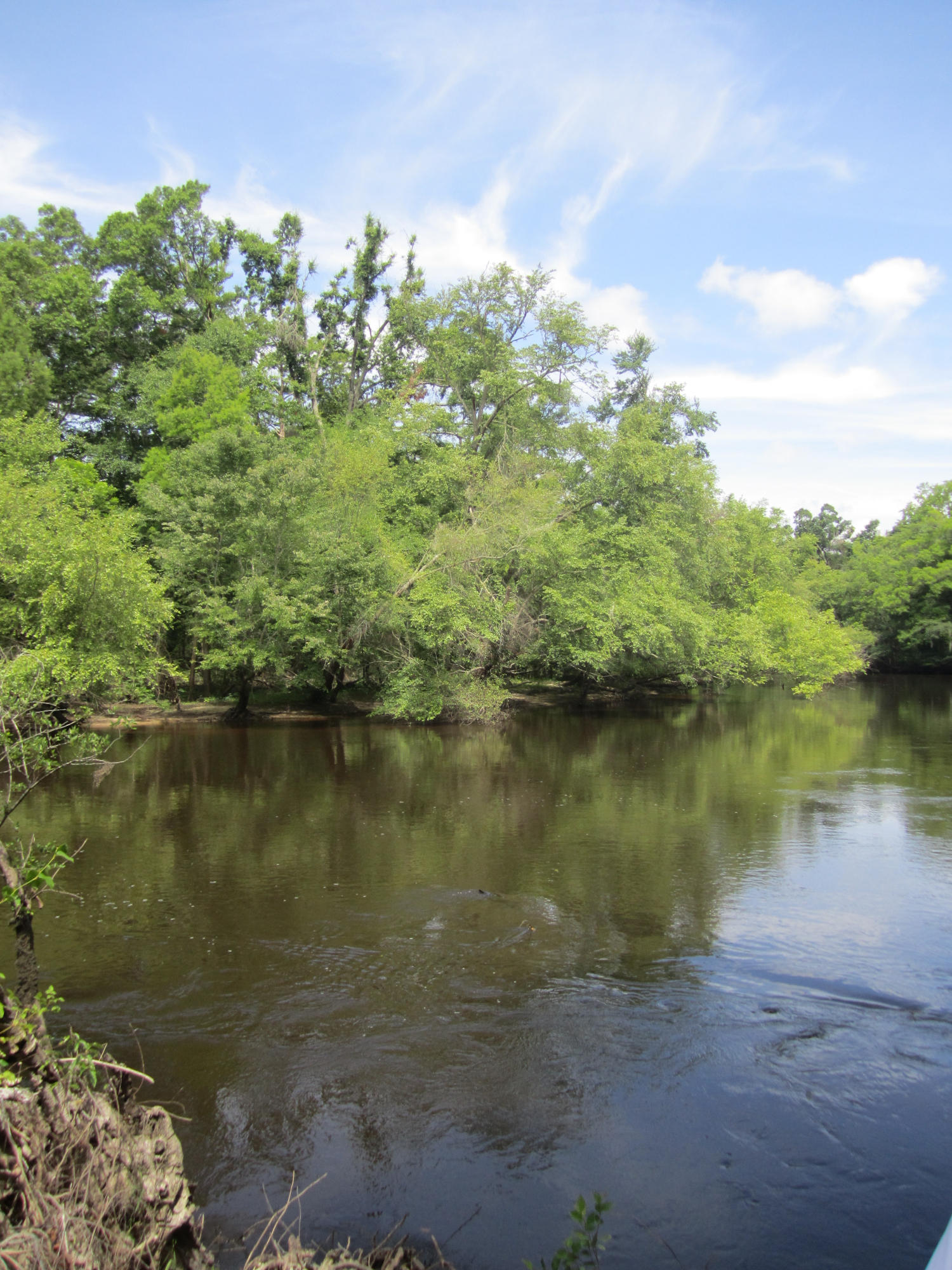 0 Edisto River Road St. George, SC 29477 - Photo 5 of 13 122