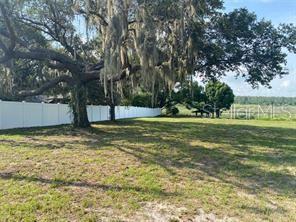 48 County Road Howey-in-the-Hills, FL 34737 - Photo 5 of 10 a view of a yard with a tree