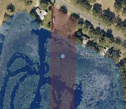 48 County Road Howey-in-the-Hills, FL 34737 - Photo 7 of 10 a front view of a house with lots of green space